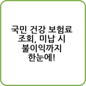 국민 건강 보험료 조회 방법