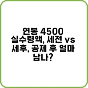 연봉 4500 실수령액 계산표
