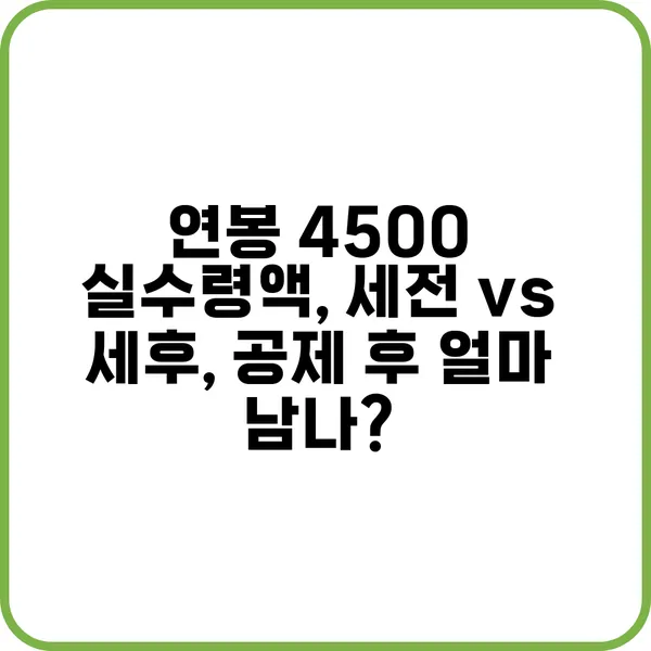 연봉 4500 실수령액 계산표