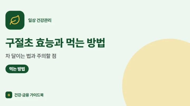 구절초 효능과 먹는 방법: 차 달이는 법과 주의할 점