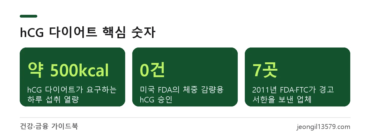hCG 다이어트 효과와 부작용 핵심 숫자: 하루 약 500kcal 식단, 체중 감량용 승인 0건, 2011년 FDA·FTC 경고 7개 업체