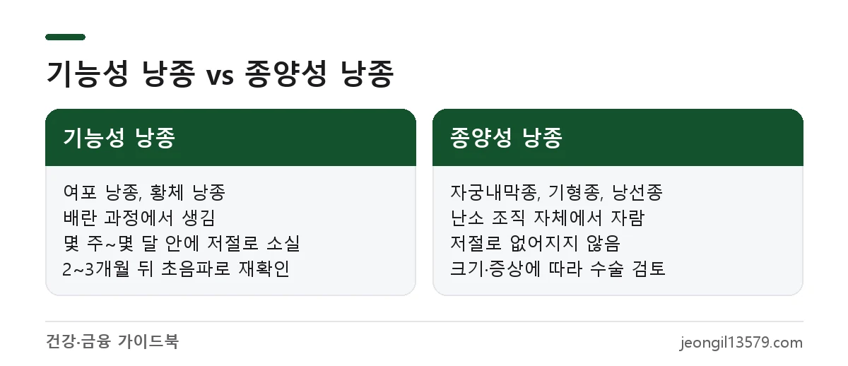난소낭종 종류 비교: 저절로 사라지는 기능성 낭종과 수술이 필요한 종양성 낭종(자궁내막종, 기형종, 낭선종)의 차이