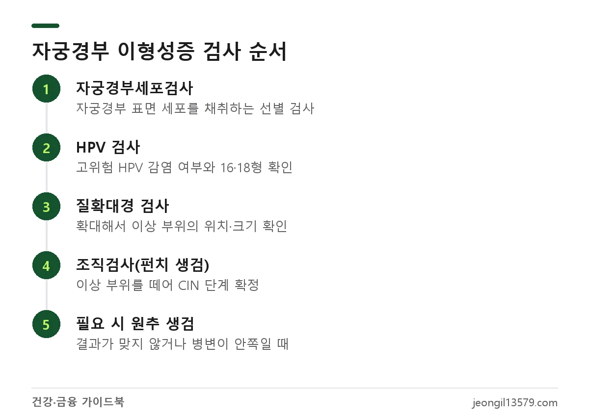 자궁경부 이형성증 진단 순서: 자궁경부세포검사, HPV 검사, 질확대경, 조직검사, 원추 생검