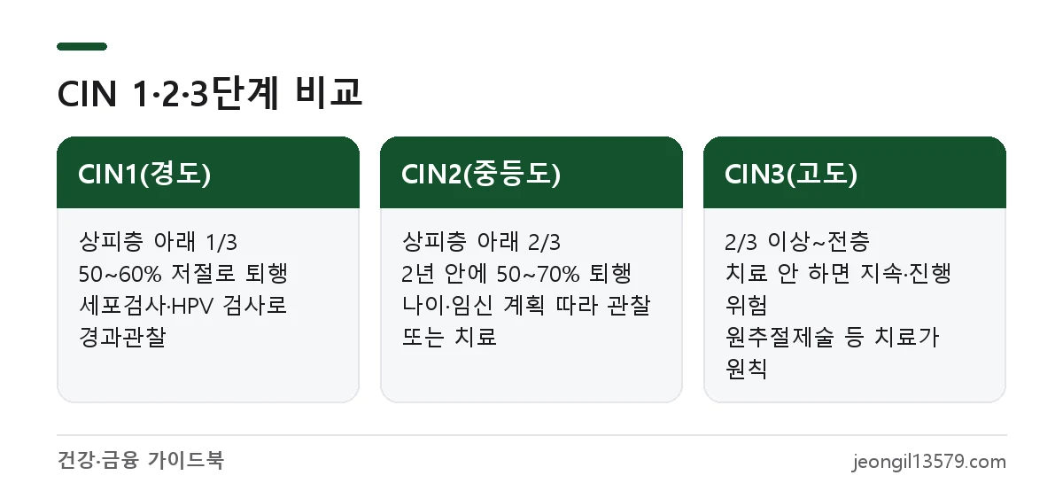 자궁경부 이형성증 1단계, 2단계, 3단계의 침범 범위와 자연 경과, 관리 방법 비교