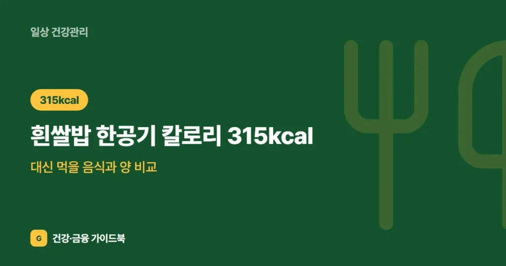 흰쌀밥 한공기 칼로리 315kcal, 대신 먹을 음식과 양 비교 (2026)