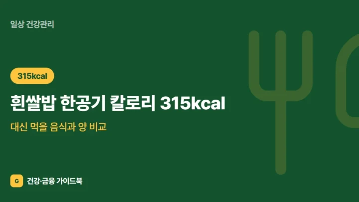 흰쌀밥 한공기 칼로리 315kcal, 대신 먹을 음식과 양 비교 (2026)