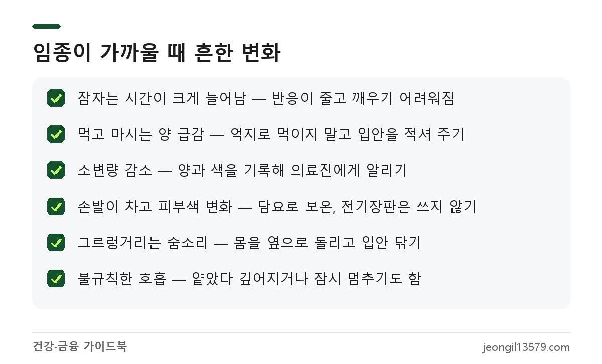 임종 증상 체크리스트: 수면 증가, 식사와 수분 감소, 소변 감소, 손발 냉감, 가래 끓는 숨소리, 불규칙한 호흡